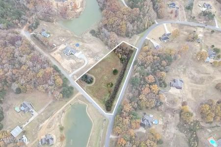 14367 Valley View Cove, Byhalia, Mississippi 38611, États-Unis