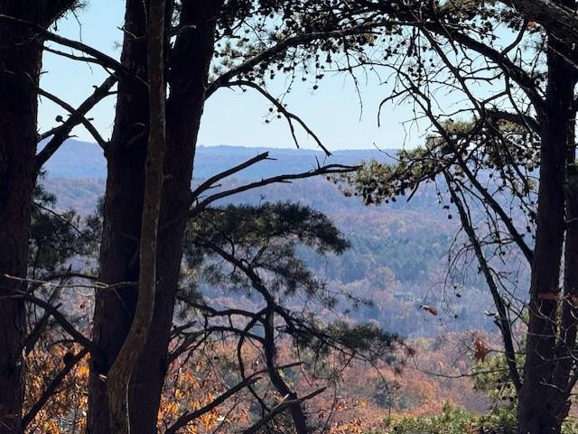 0 John Call Road, Talking Rock, Georgia 30175