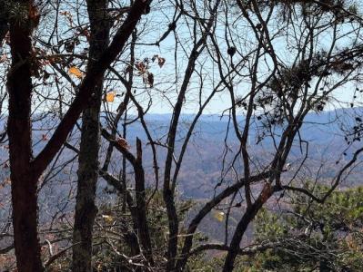 0 John Call Road, Talking Rock, Georgia 30175