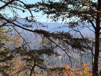 0 John Call Road, Talking Rock, Georgia 30175