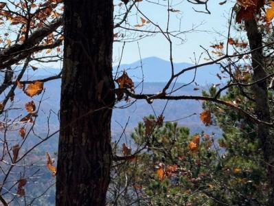 0 John Call Road, Talking Rock, Georgia 30175