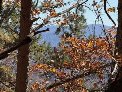 0 John Call Road, Talking Rock, Georgia 30175