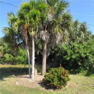 3960, 4026, 4072 Stringfellow Road, St James City, Florida 33956, HOA KỲ