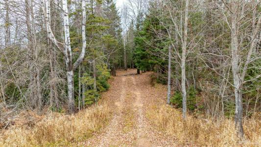 TBD Asumaa , Road, Atlantic Mine, Michigan 49905, Stati Uniti