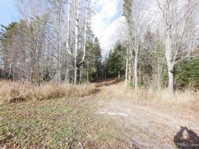 TBD Asumaa , Road, Atlantic Mine, Michigan 49905, Stati Uniti