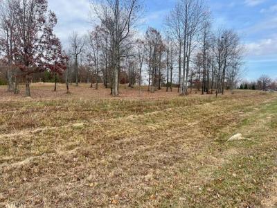 0 River Bluffs Drive, Jasper, 田納西州 37347, 美國