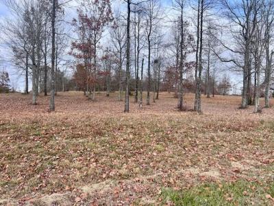 0 River Bluffs Drive, Jasper, 田納西州 37347, 美國