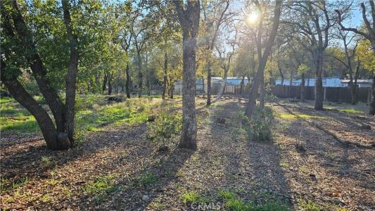 16287 17th Avenue, Clearlake, Californie 95422, États-Unis