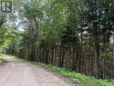 0 THIBADEAU ROAD, Bancroft (dungannon Ward), Ontario K0L 1C0, Canada