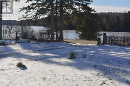 114 PAUDASH LAKE ROAD, Faraday, オンタリオ K0L 1C0, カナダ