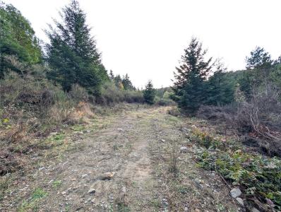 LOT 18 EAGLE DR, Shawnigan Lake, British Columbia V8H 2J1, Canada