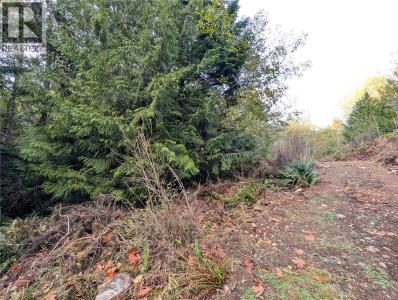 LOT 18 EAGLE DRIVE, Shawnigan Lake, British Columbia V8H 2J1, Canada