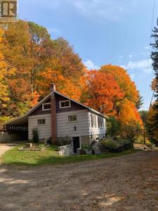 198 GAEBEL ROAD, Bancroft (bancroft Ward), Ontario K0L 1C0, Canada