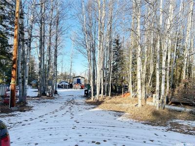 3 JOANNE PLACE, Paddockwood Rm No. 520, Saskatchewan S0J 0N0, Canada