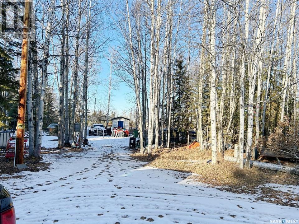 3 JOANNE PLACE, Paddockwood Rm No. 520, Saskatchewan S0J 0N0, Canada