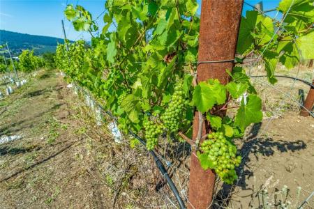 9269 HIGHWAY 6, Coldstream, British Columbia V1B 3B5, Canada