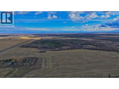 17676 PRESPATOU ROAD, Fort St. John, British Columbia V0C 2S0, Canada