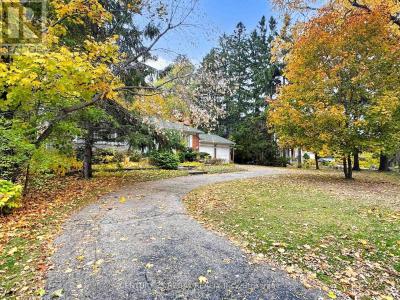 20 WEST HILL DRIVE, Toronto (west Hill), Ontario M1E 3T5, Canada