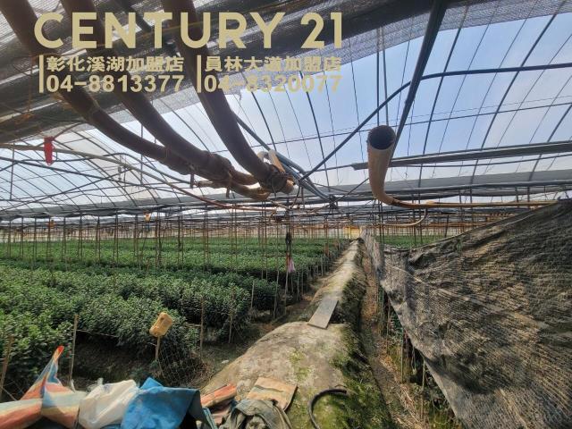 仁豐段, Tianwei Township, Changhua County 522, Taiwan