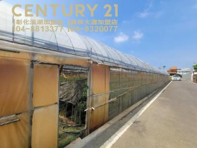 仁豐段, Tianwei Township, Changhua County 522, Taiwan