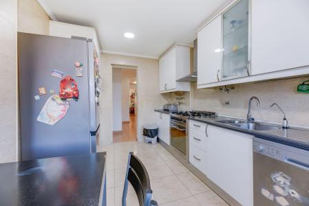 Odivelas, リスボン 2620-135, ポルトガル