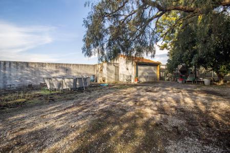 Palmela, Setubal 2950-000, Portugal