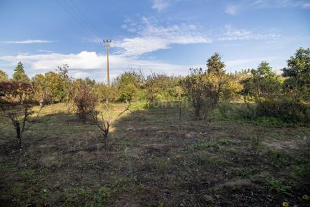 Palmela, Setubal 2950-000, Portugal