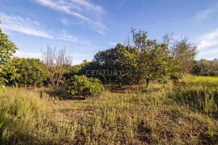 Palmela, Setubal 2950-000, Portugal