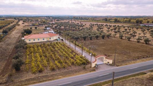 Reguengos De Monsaraz, אבורה 7200-206, פורטוגל 