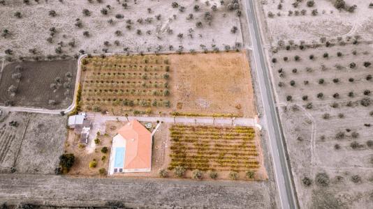 Reguengos De Monsaraz, אבורה 7200-206, פורטוגל 