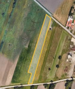 Ílhavo, Aveiro 3830-248, Portugal