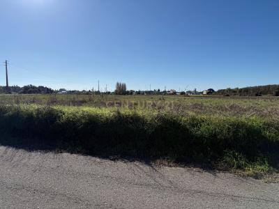 Ílhavo, Aveiro 3830-248, Portugal