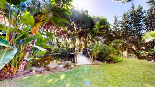 Malaga, Andalucía 29649, Spagna