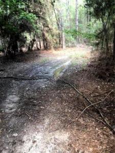 TBD Lena Flatwoods Road, Lena, Louisiana 71447, Estados Unidos