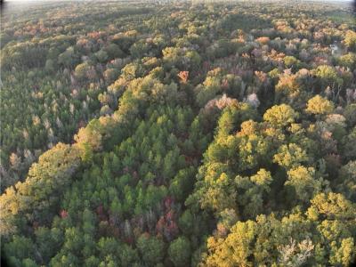 0A Philadelphia Road, Deville, Луизиана 71328, Соединенные Штаты