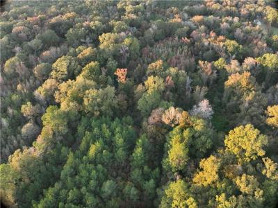 0A Philadelphia Road, Deville, Луизиана 71328, Соединенные Штаты