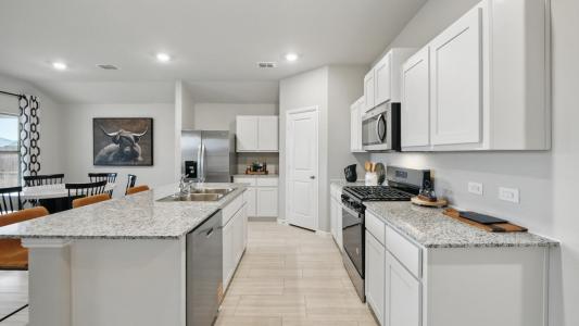 247 Rainwater Lane, Bridgeport, Texas 76246, USA