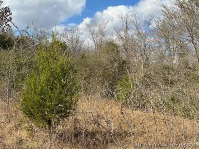 W. Duncan Road, Haskell, OK Ro, Haskell, Oklahoma 74436