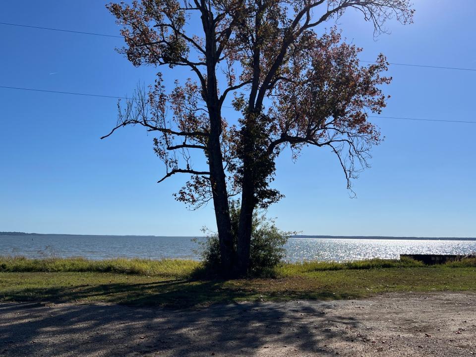 1694 Fisherman's Wharf Road, Converse, Louisiana 71419