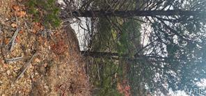 11050 CR 2220, Rolla, Missouri 65401, Amerika Birleşik Devletleri