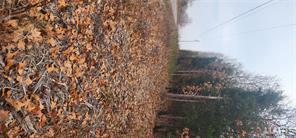 11050 CR 2220, Rolla, Missouri 65401, Amerika Birleşik Devletleri