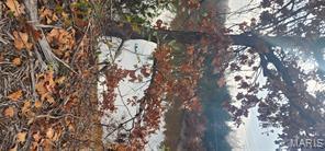 11050 CR 2220, Rolla, Missouri 65401, Amerika Birleşik Devletleri