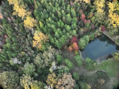 0B Philadelphia Road, Deville, 路易西安納州 71328, 美國