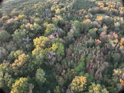 0B Philadelphia Road, Deville, 路易西安納州 71328, 美國