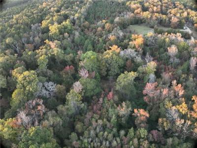 0B Philadelphia Road, Deville, 路易西安納州 71328, 美國