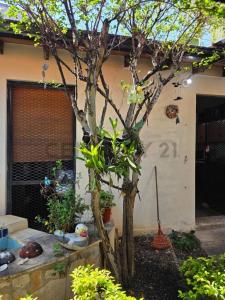 Bartolome de las casas casi Caazapa. Vista Alegre 917, Vista Alegre, Asunción 00001, 파라과이