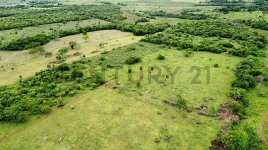 Ybycuí, Paraguarí 00001, Paraguay