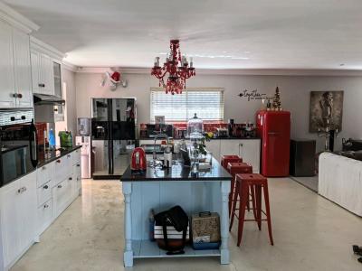 Springs, 豪登省, 南非