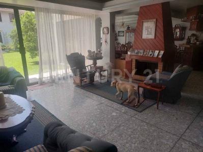 Cda. Miguel Noreña ,, Benito Juárez, Ciudad De México 03900, Mexico