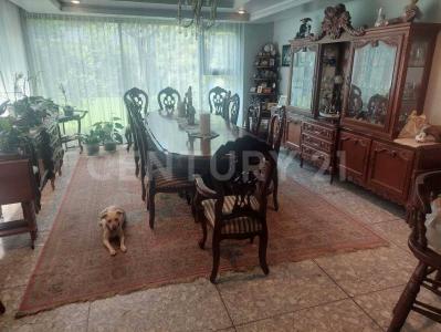 Cda. Miguel Noreña ,, Benito Juárez, Ciudad De México 03900, Mexico